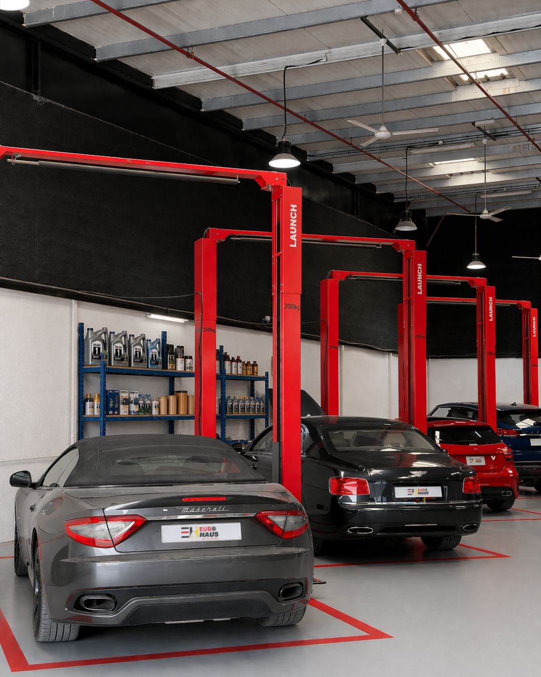 Multi-Brand European Specialists in Dubai Investment Park: Why Euro Haus Autocare Stands Out